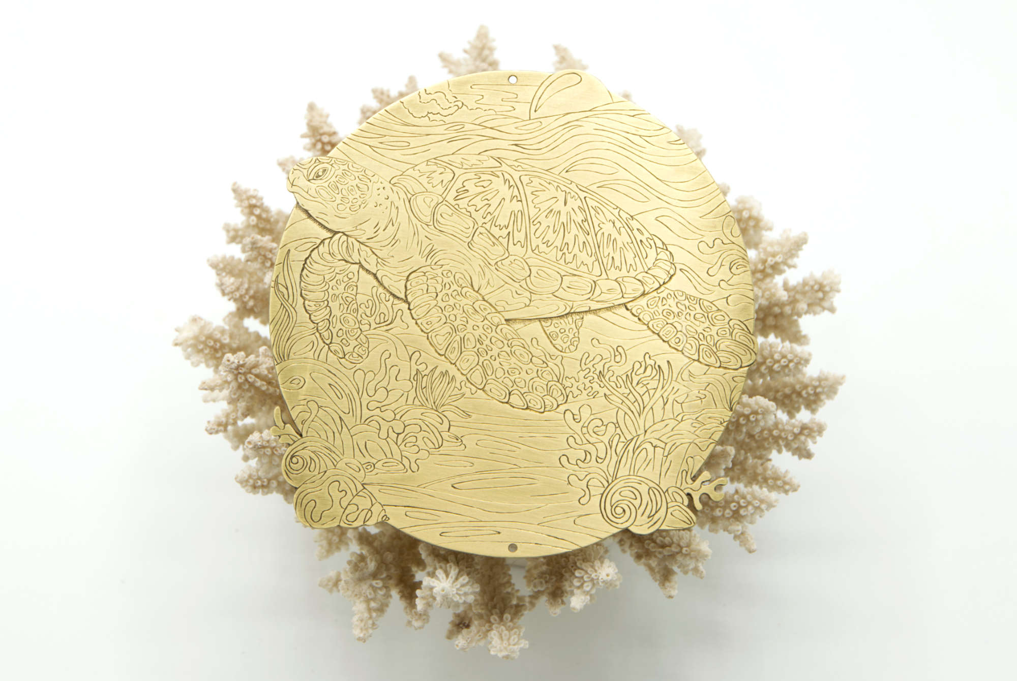 Tortue de mer gravée en taille douce sur plaque en laiton