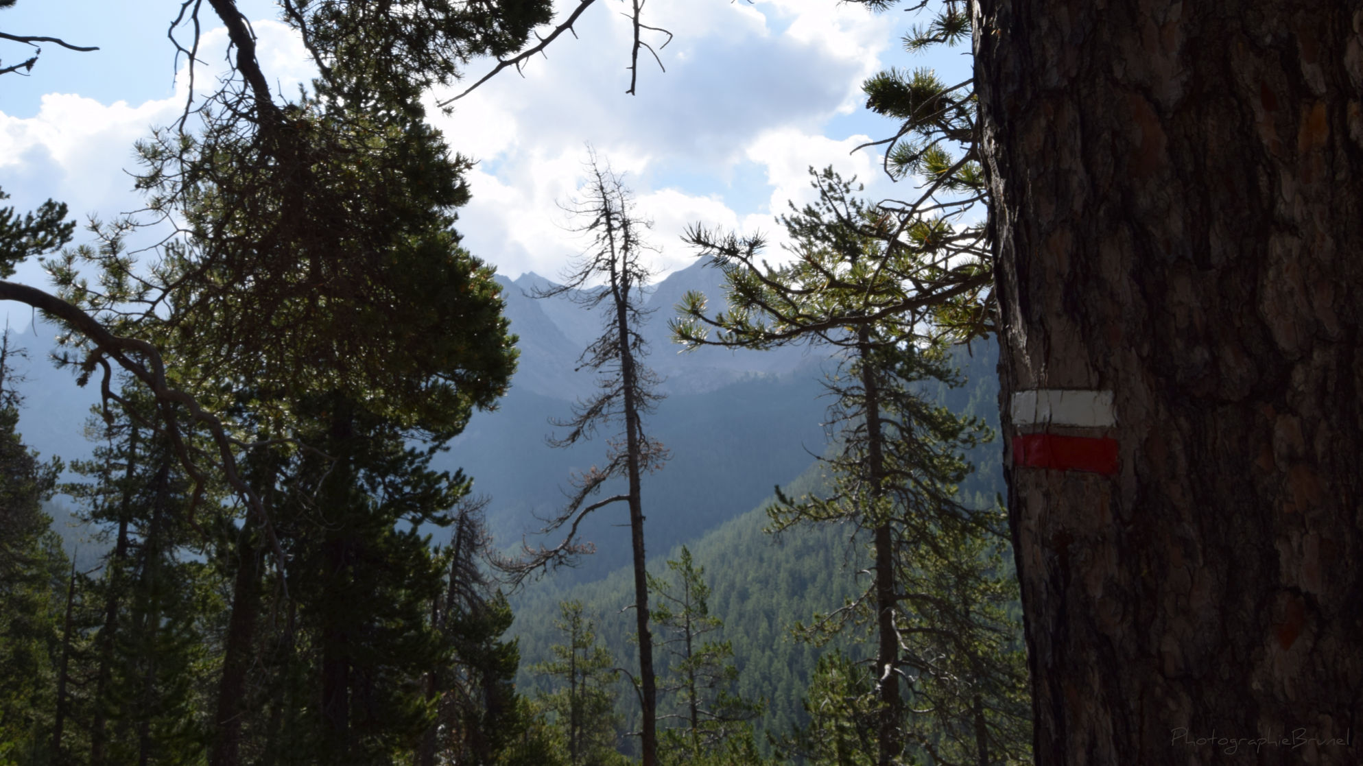 photographie de paysage 10