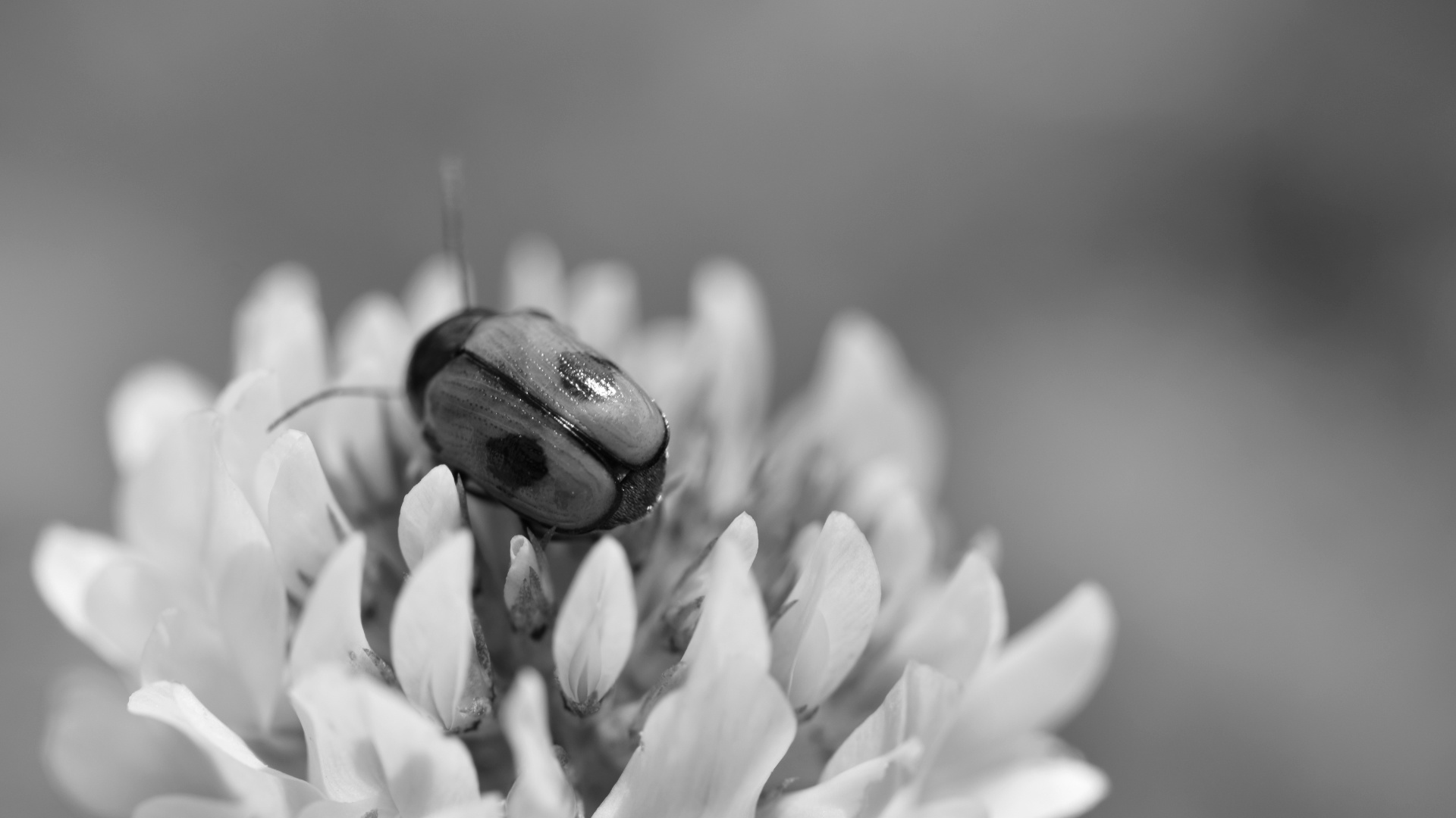 image accès photographie